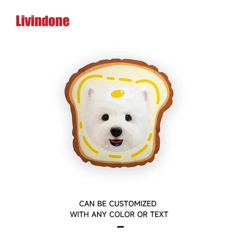 Livindone Original Design Custom Pillow